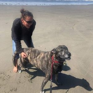 Meet your Posher, Jenn